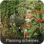 Planting schemes